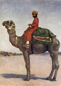 A Camel Rider from Kota
